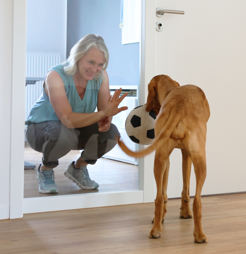 Hund und Frau hinter einem Fenster im Architekturbüro Die Planschmiede in Meinersen